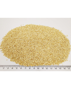 QUINOA BIAŁA 1 KG KOMOSA RYŻOWA BIAŁA